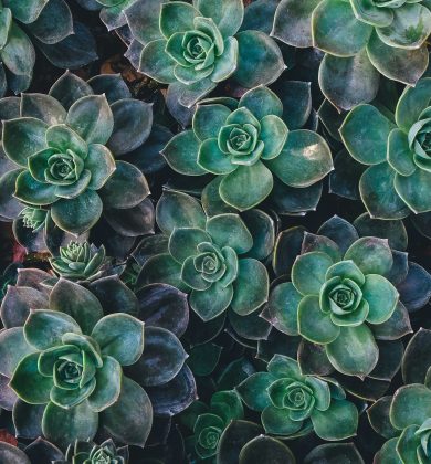 unsplash-image-8mqOw4DBBSg